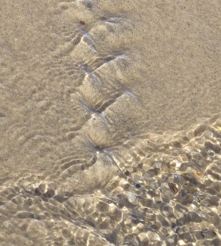 Standing Wave I Detail