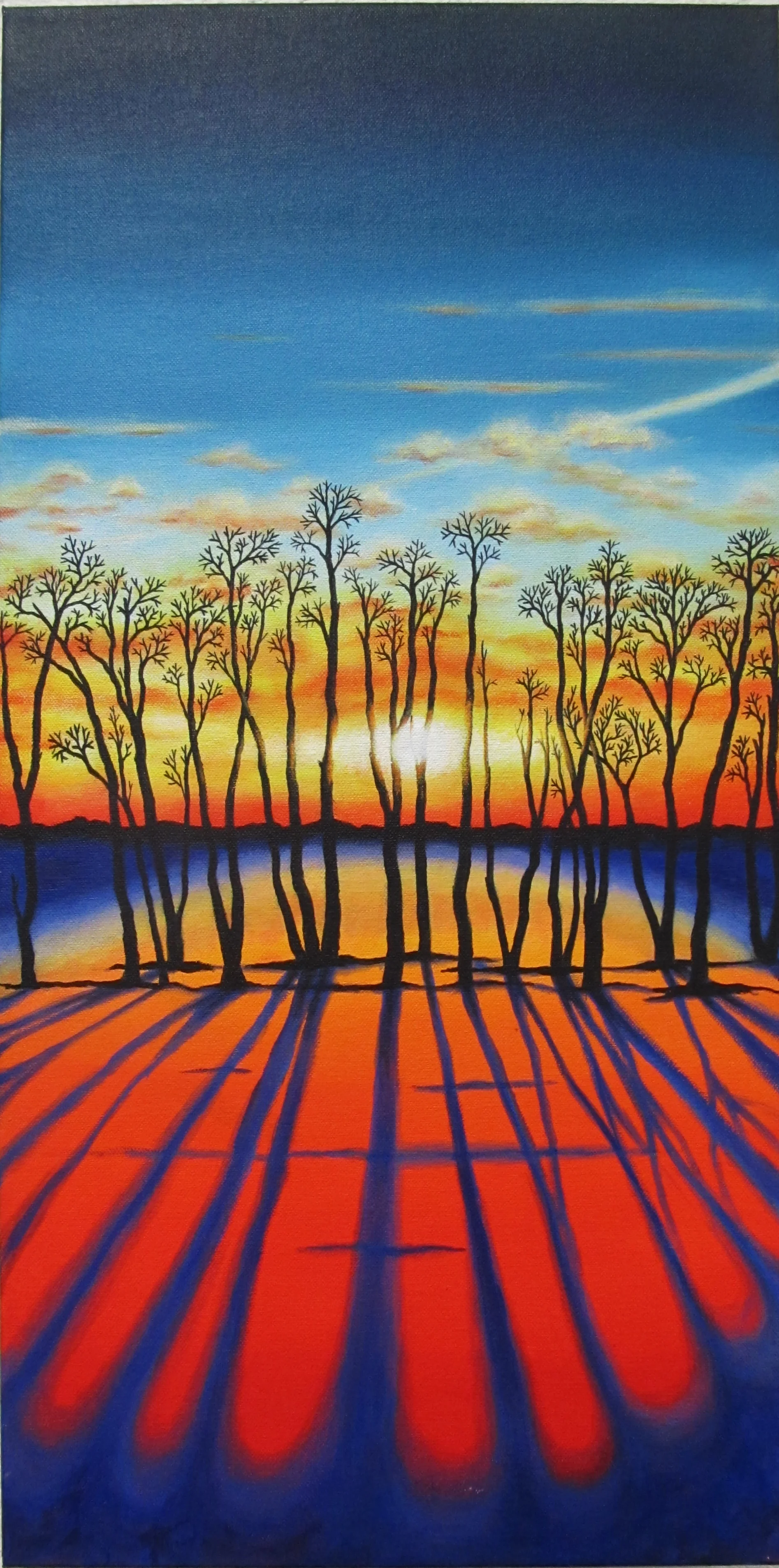 Sunset Shadows on Snow