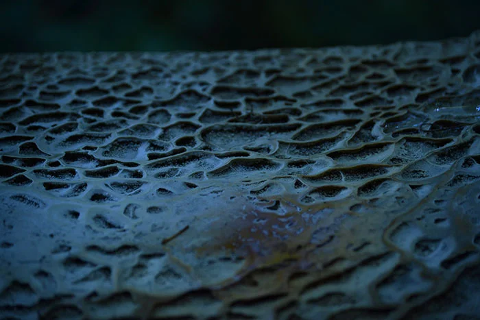 Stone