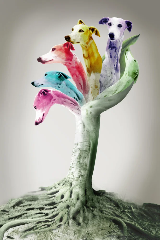My Paradise Tree