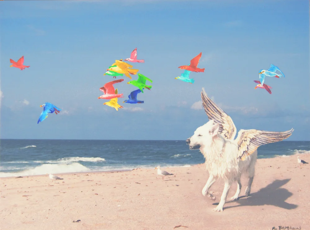 Trance Fly