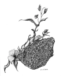 Heather Gwinn for "Flowers"