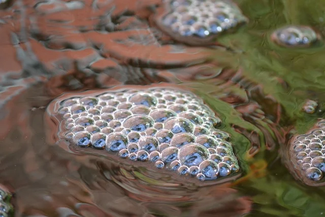 Bubbles