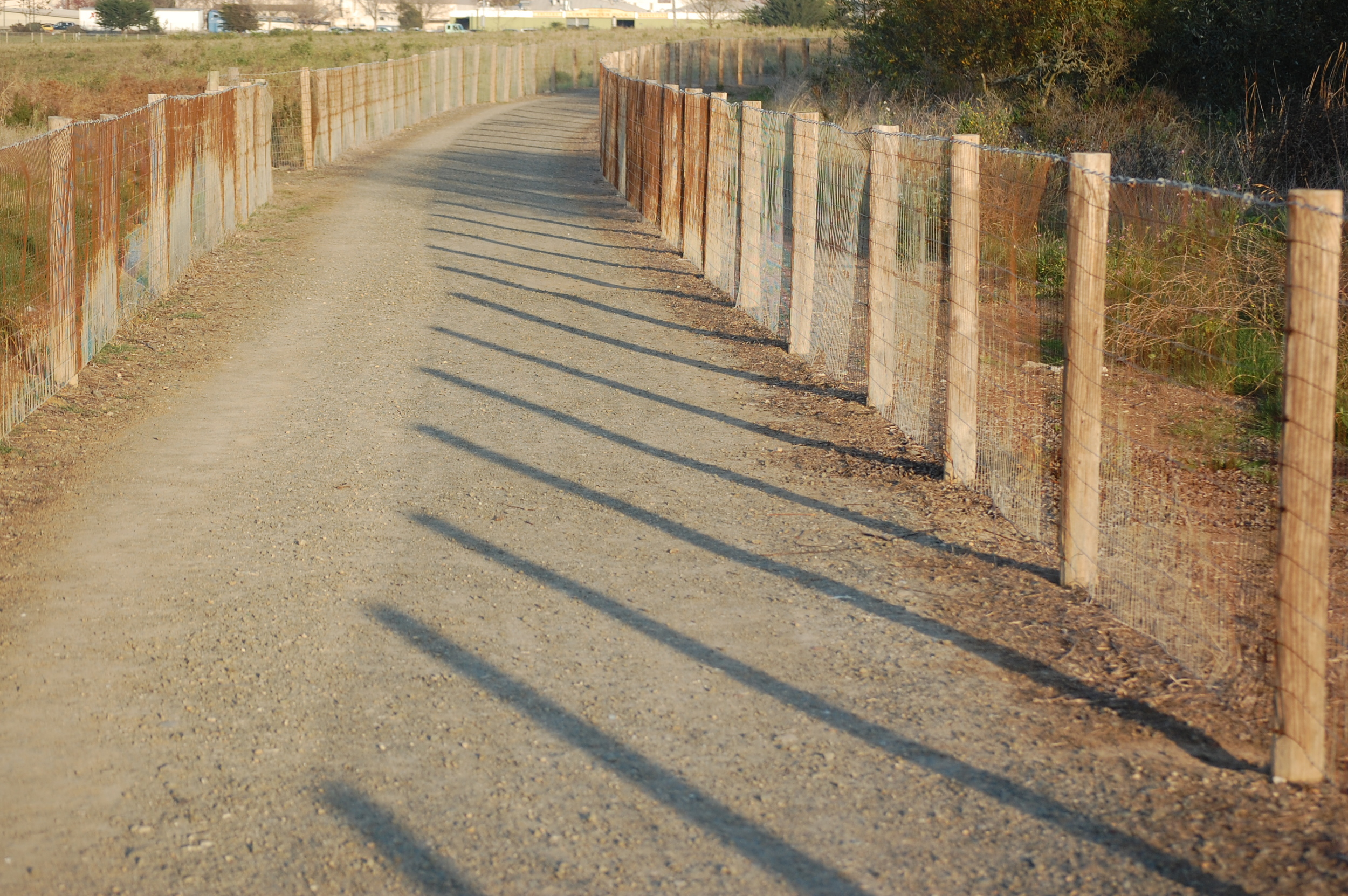 Endless Road