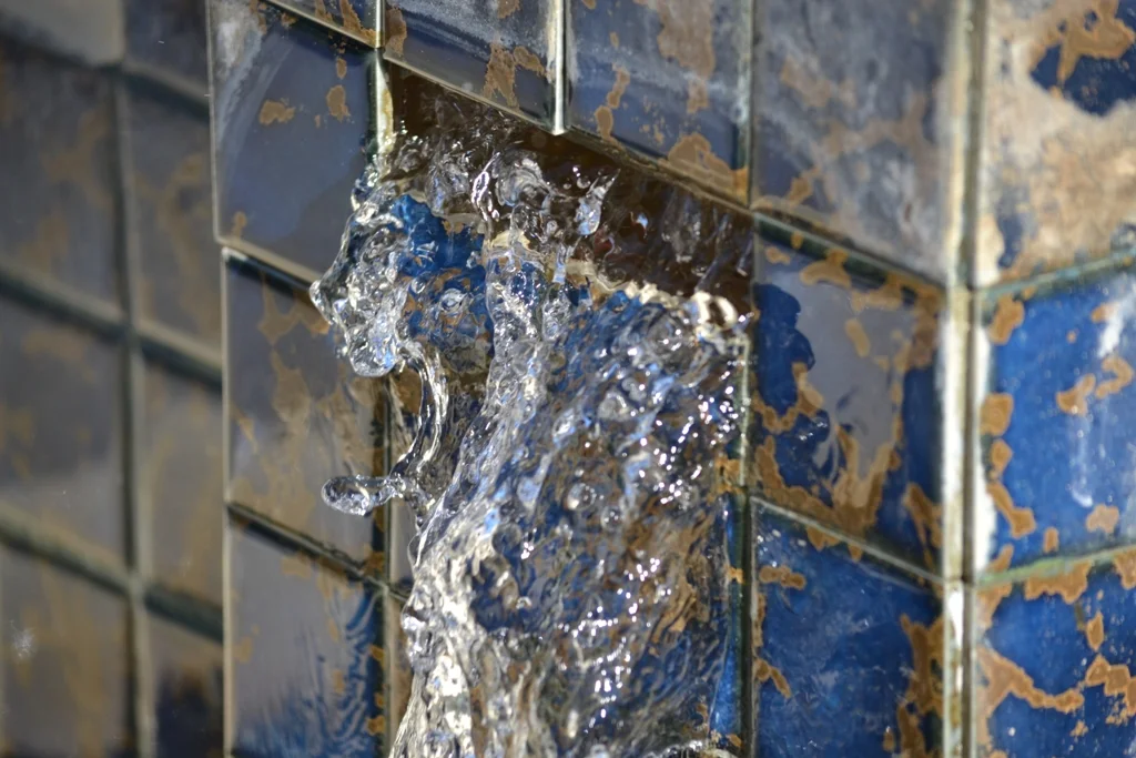 The Leaking Lion