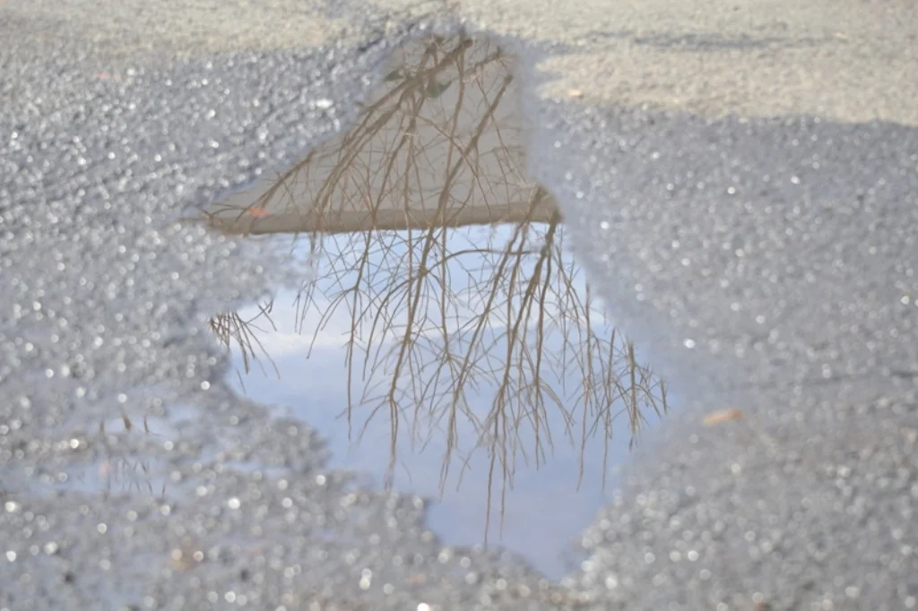 Concrete Absorption