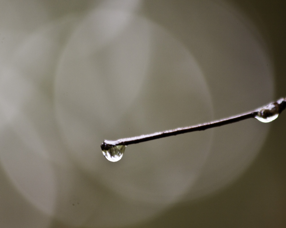Droplet Two