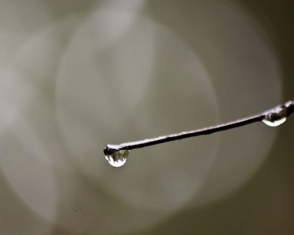 Droplet Two