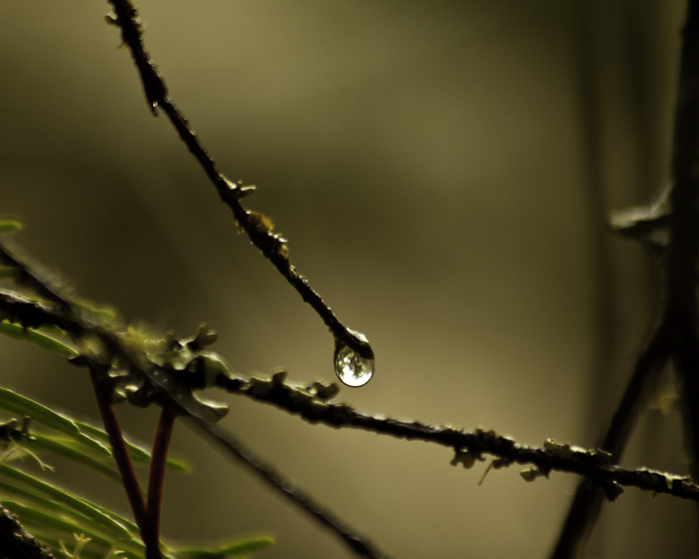 Droplet Three