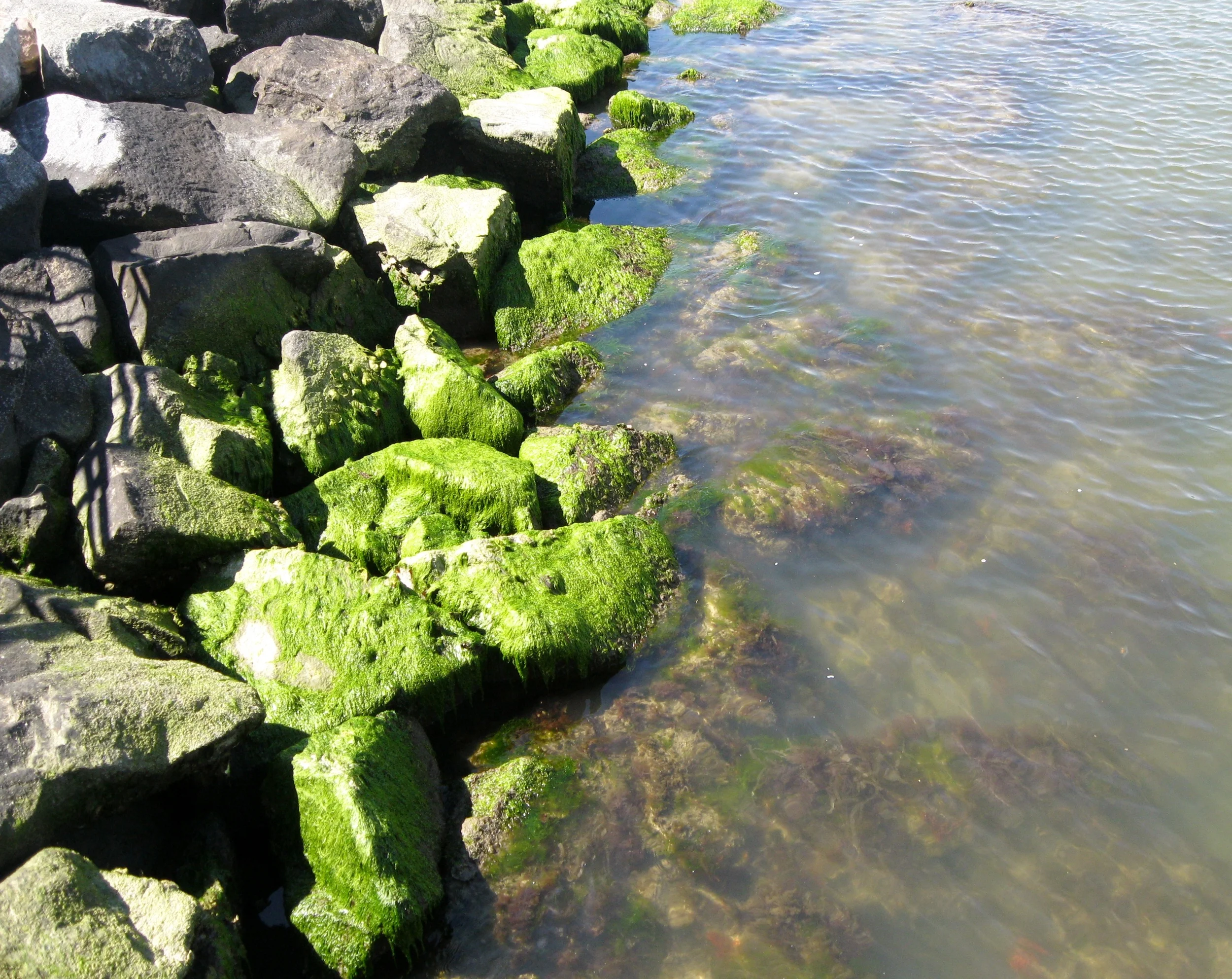 Rocks