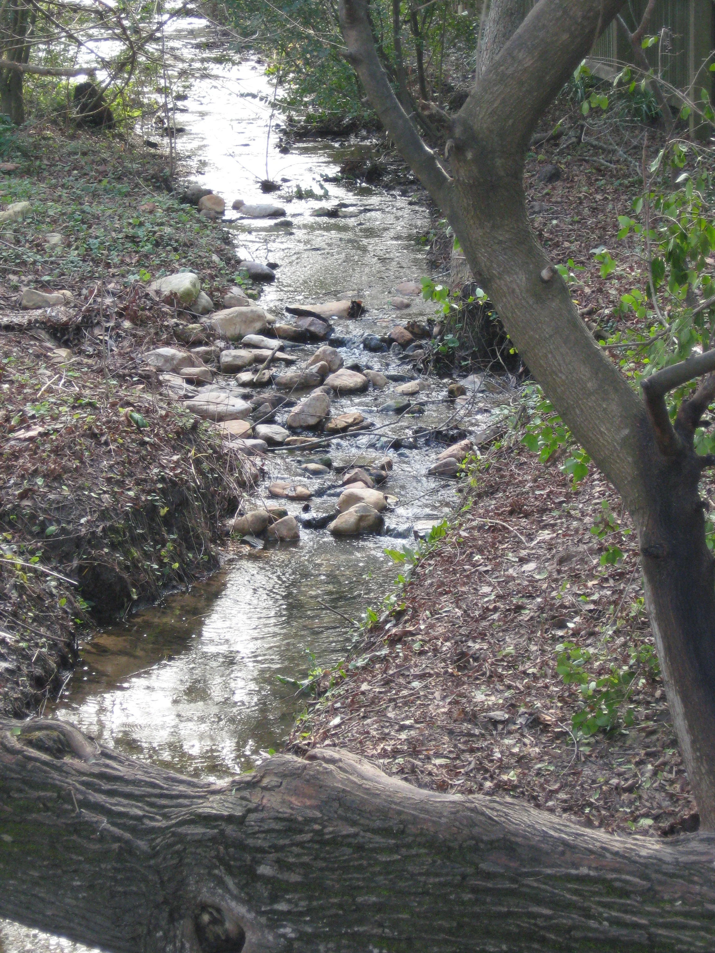 Williamsburg Brook
