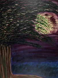 Moonlight Tree