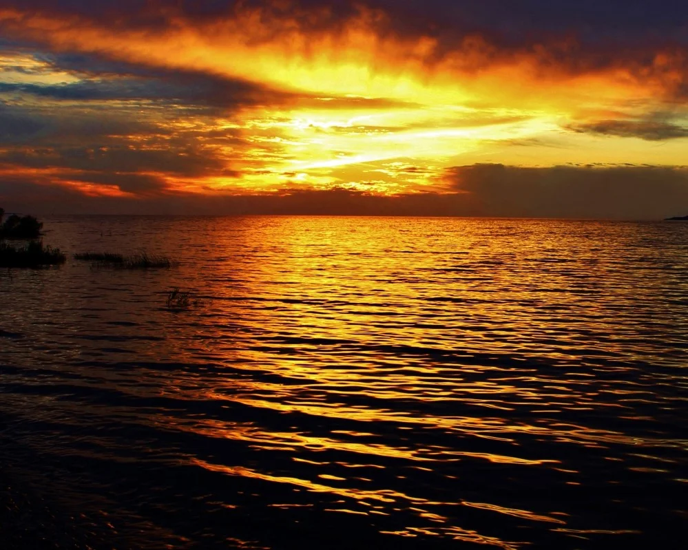 Blazing Horizon