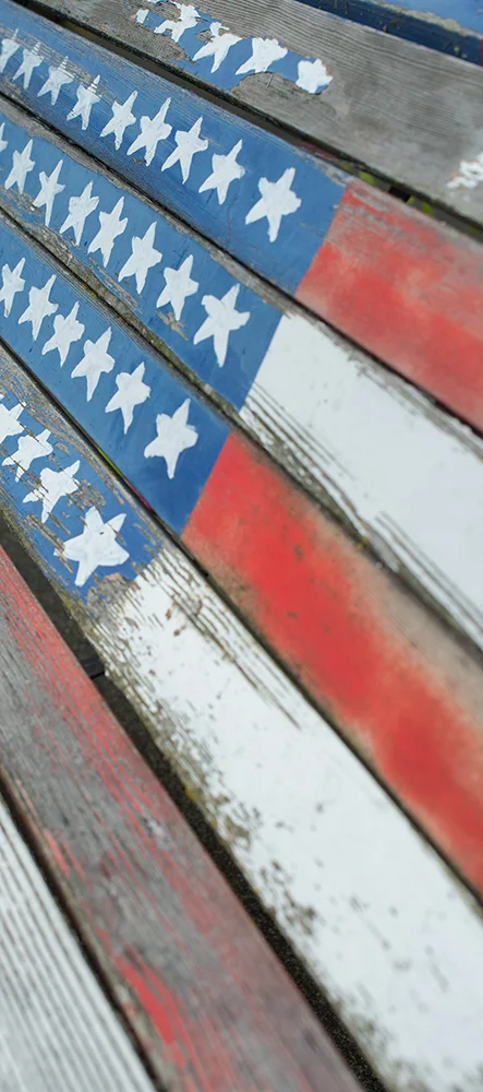 Freedom Bench