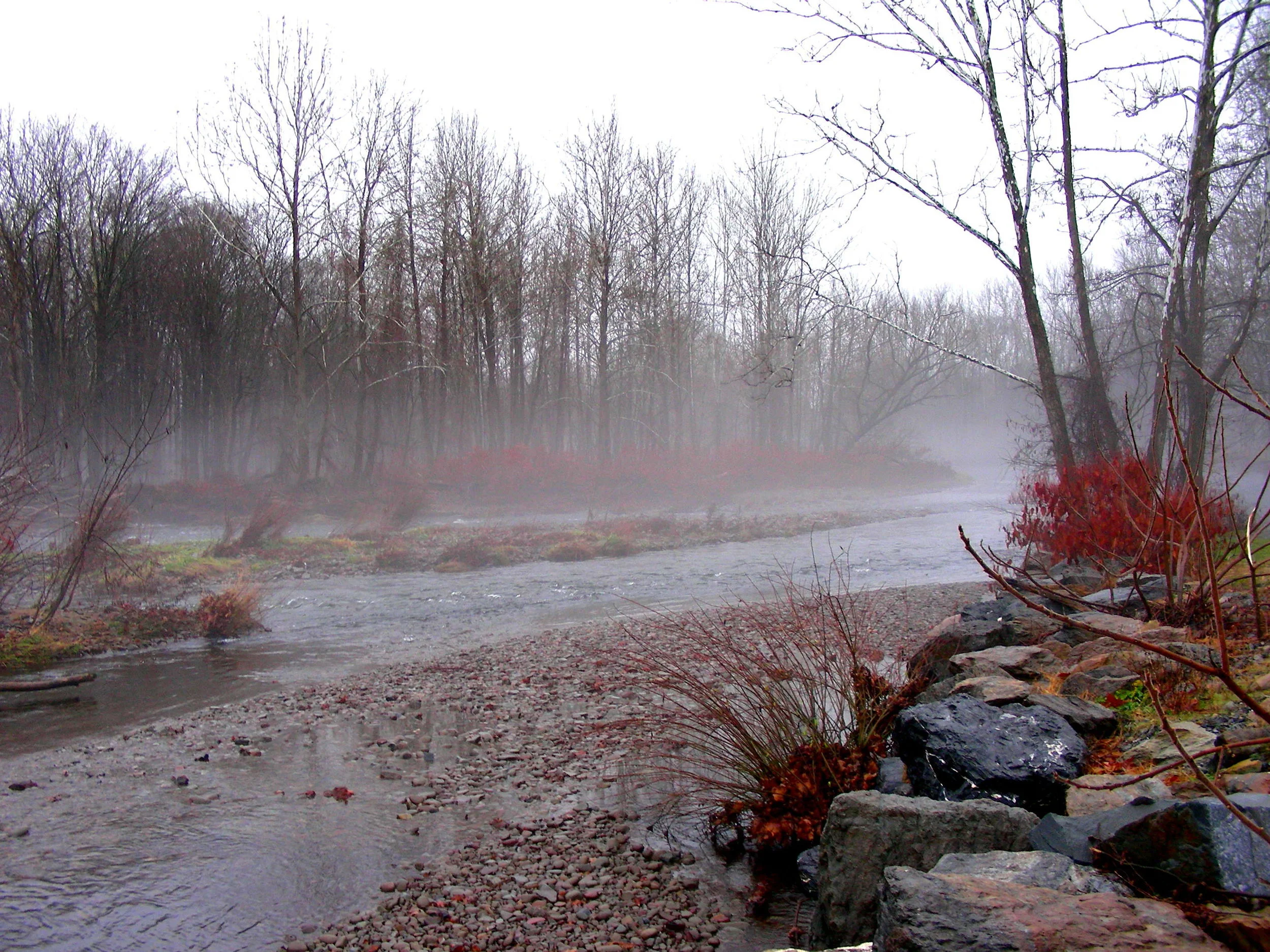 Broadhead Creek