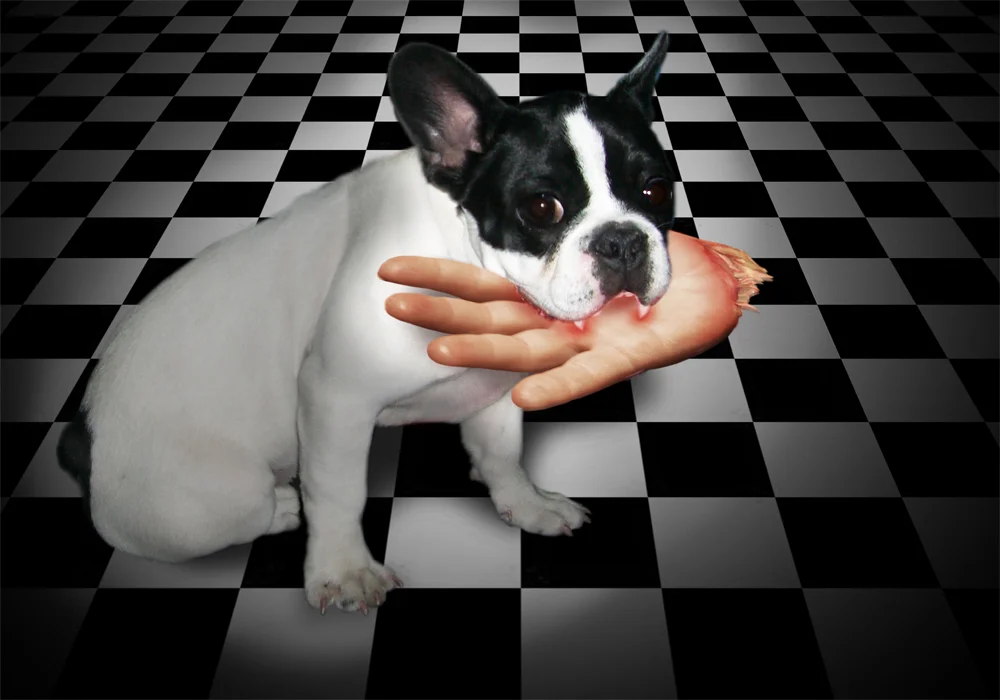 Hand Off