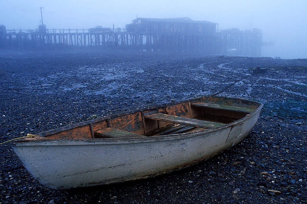 Tide is Out