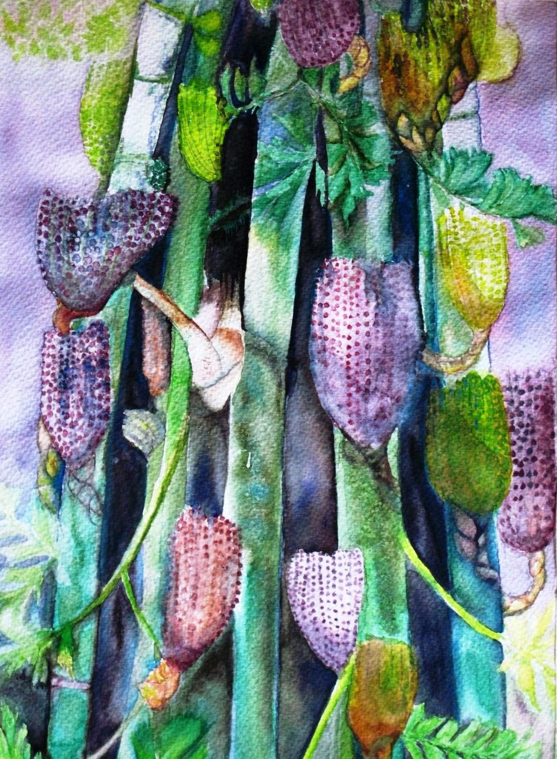 Mariposa Palm