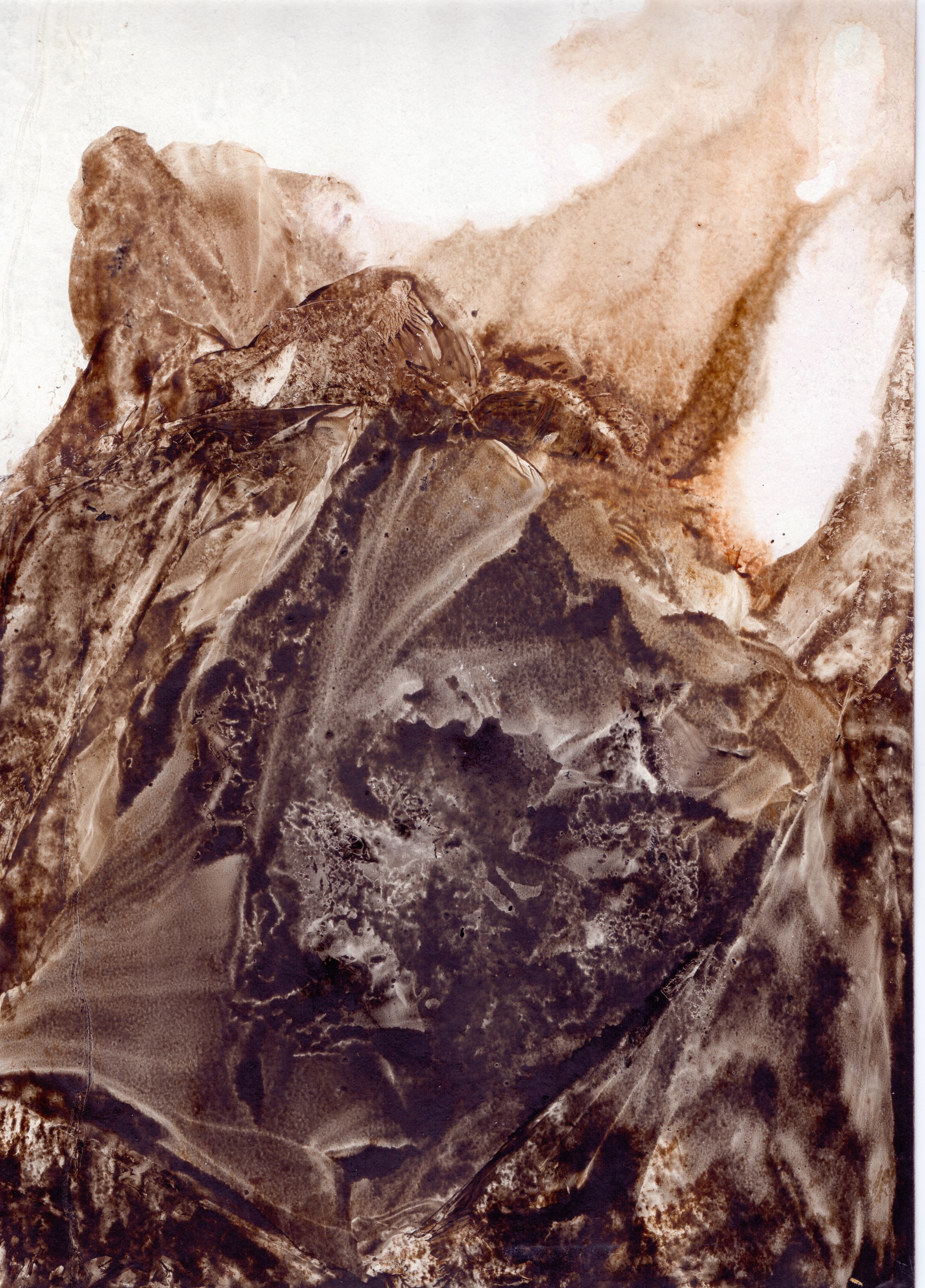 Fossils