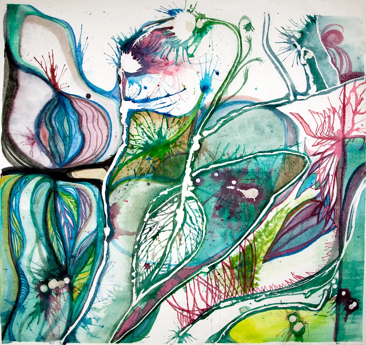 The Dance of the Onion