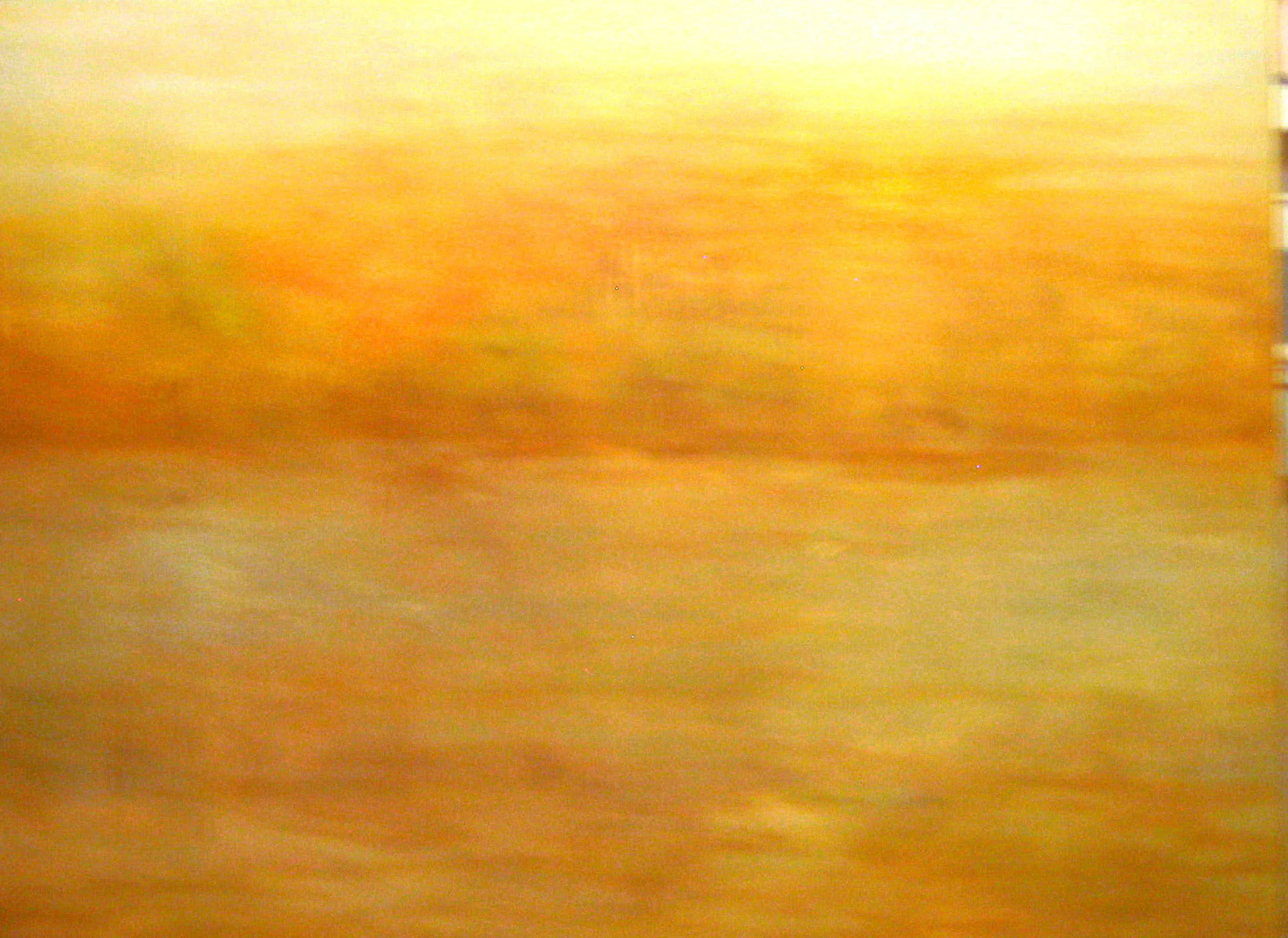 Hunting Island: AVision of the Low Country