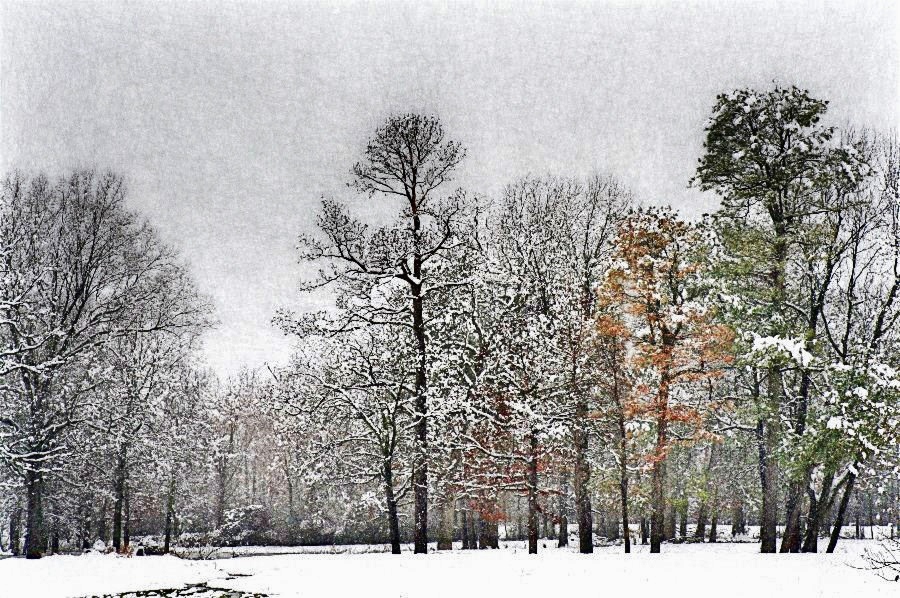 Winter in Hope