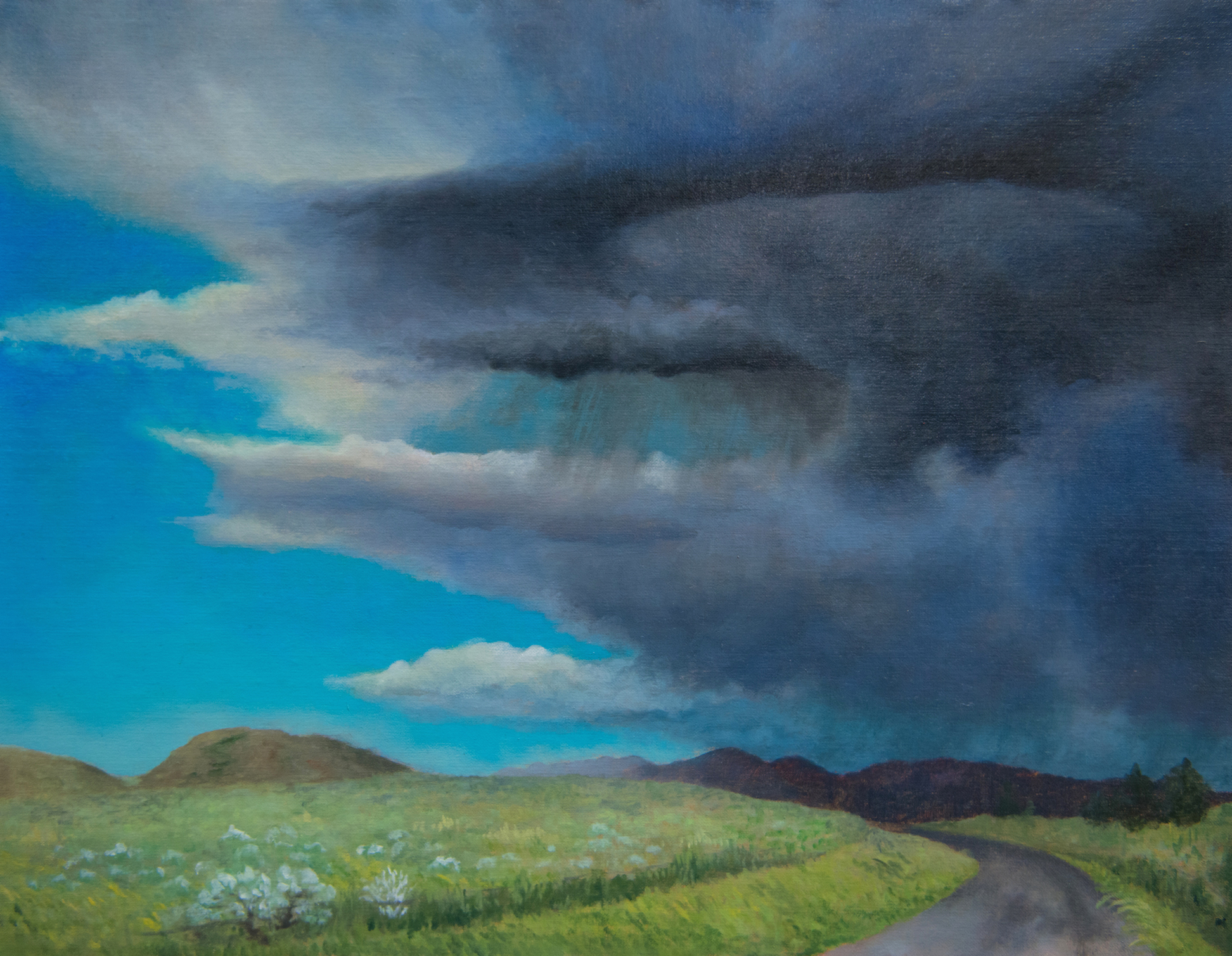 Storm at Badger Pass