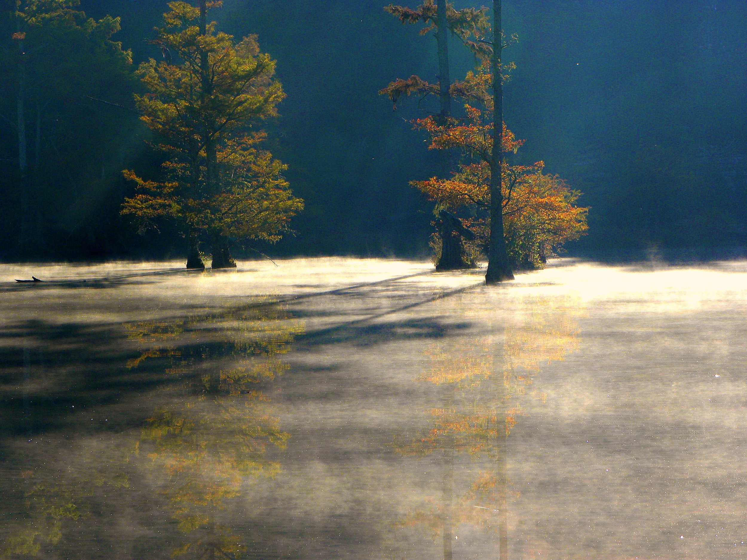 Thick Mist
