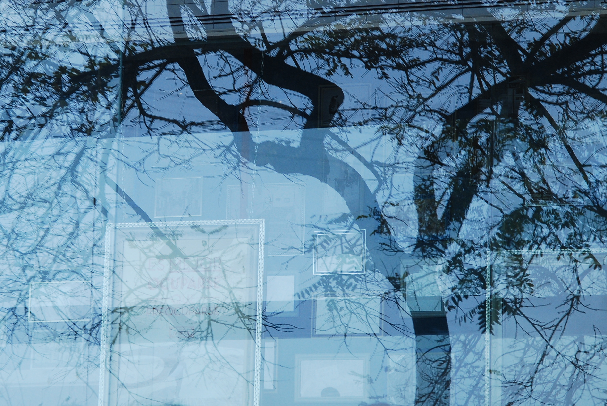 Poetic Reflection