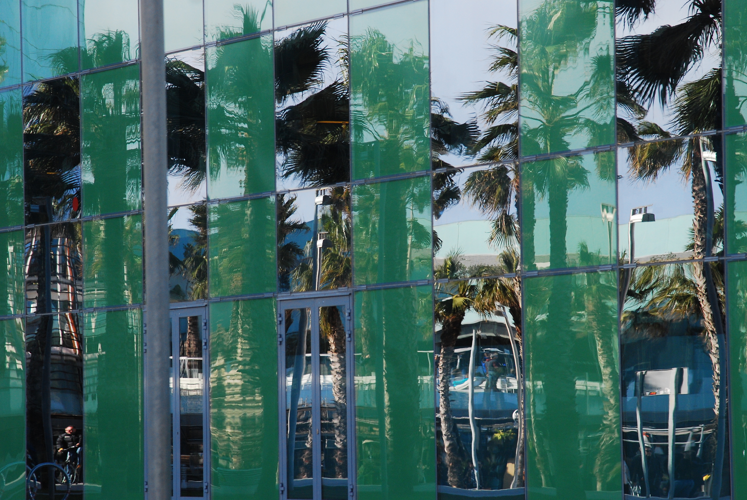 Summer Reflection