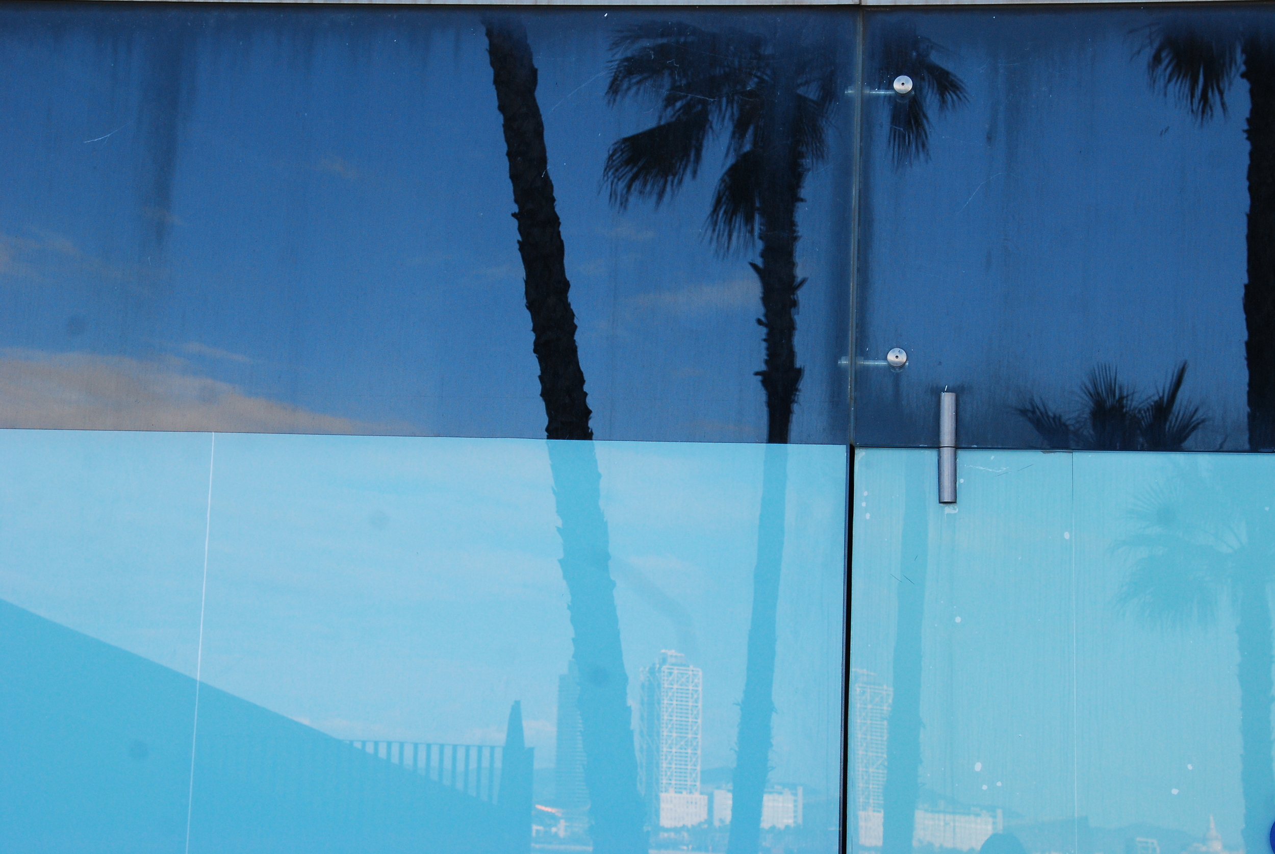 Summer Reflection I