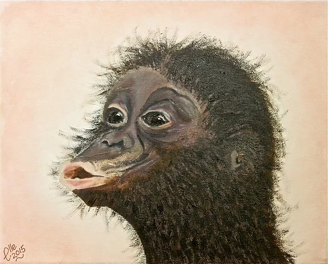 The Bonobo