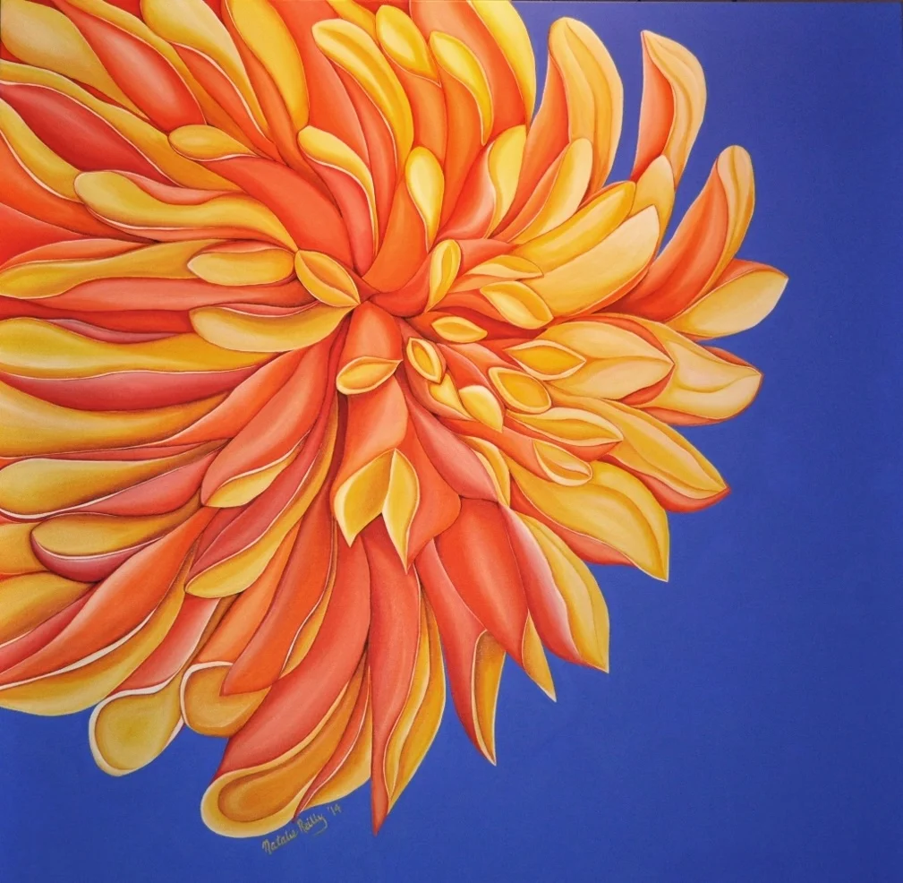 Orange Dahlia