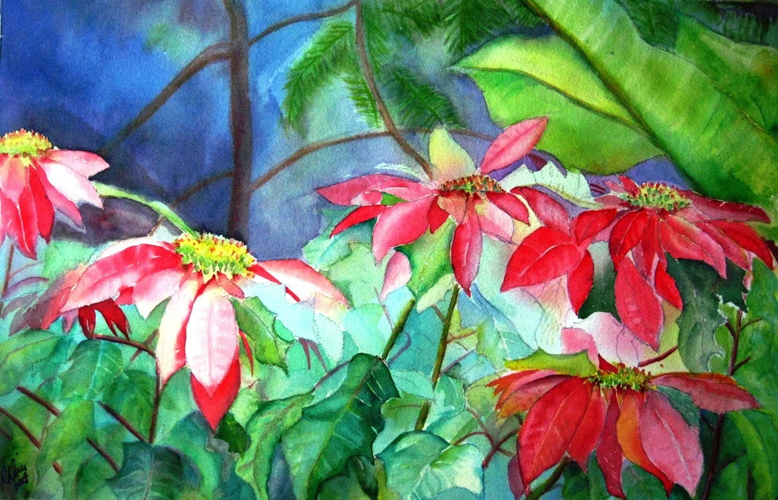 Margarita's Poinsettias