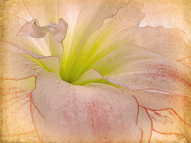 Burst