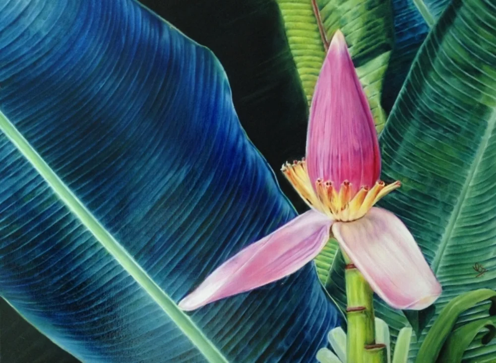 Banana Flower
