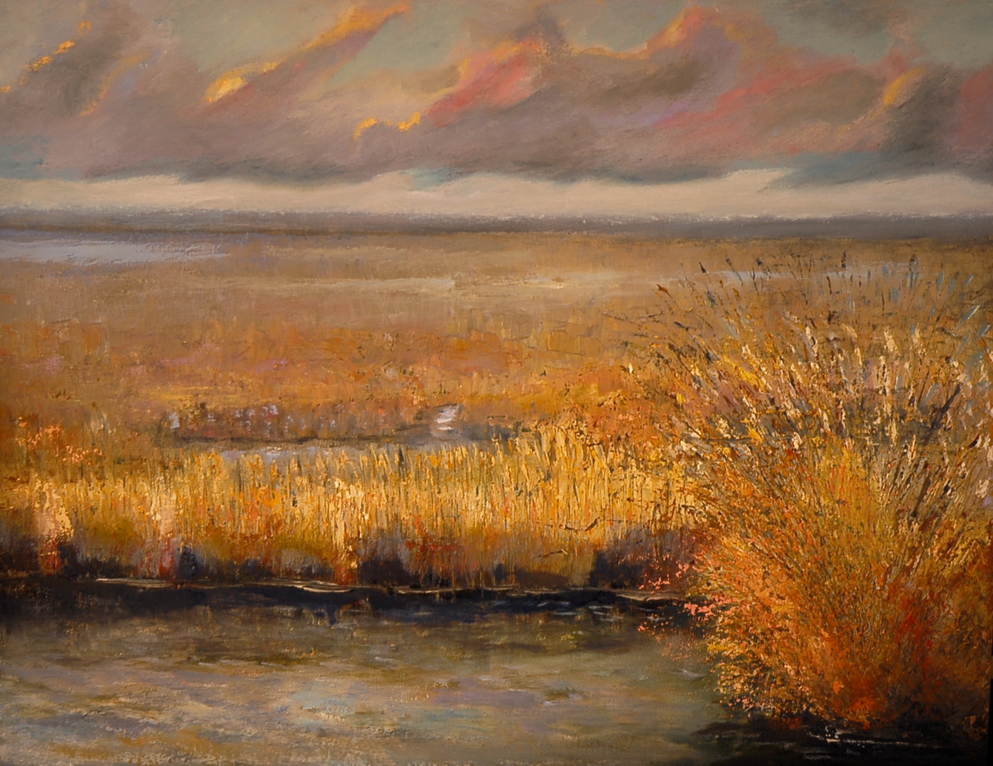 Quiet January Blackwater Marsh