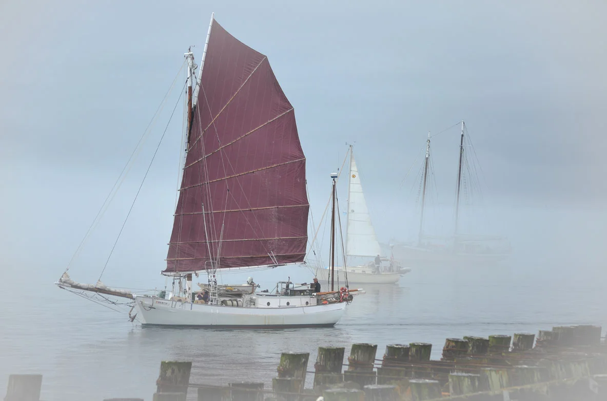 Out of the Mist
