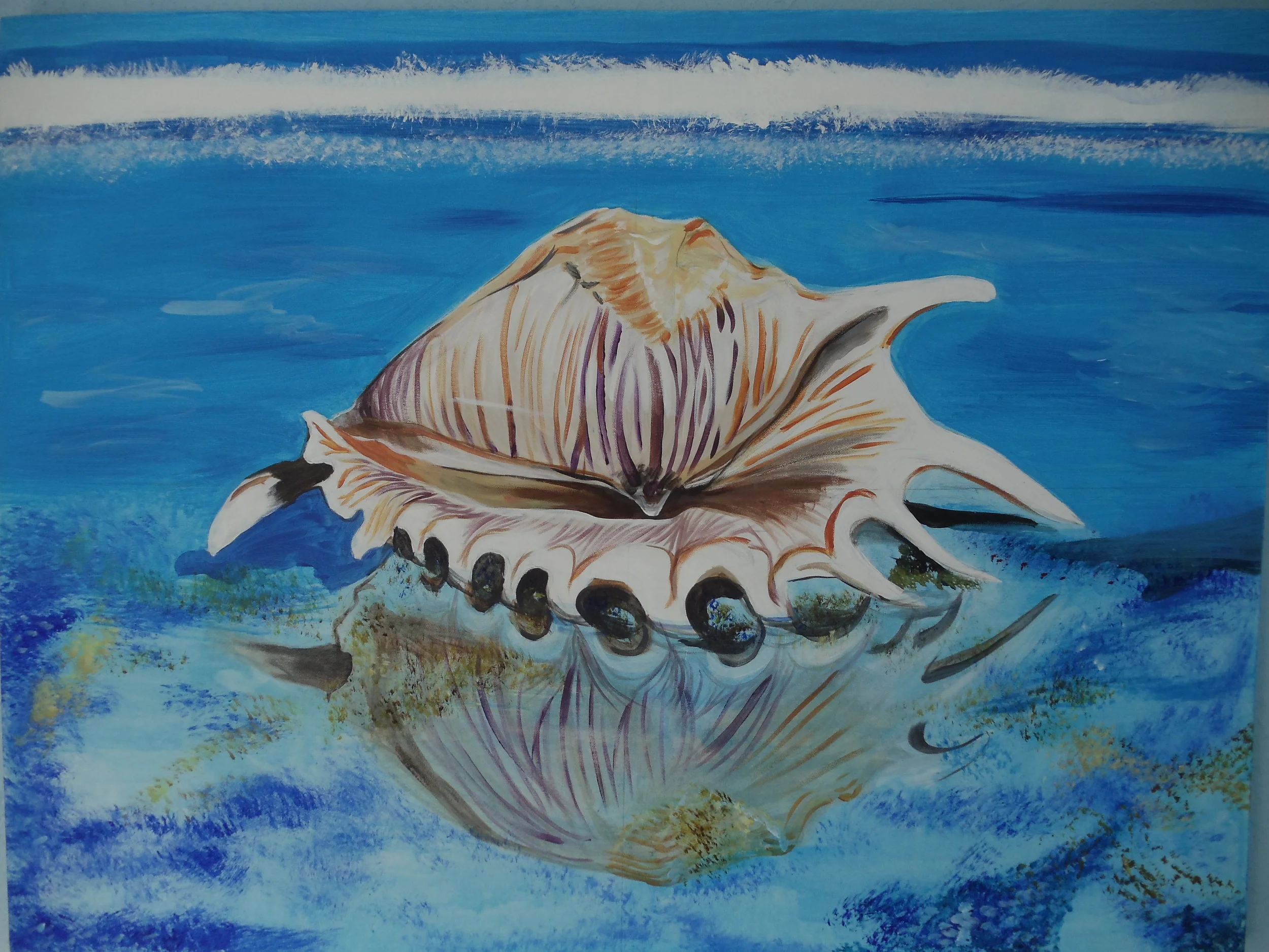 Seashell