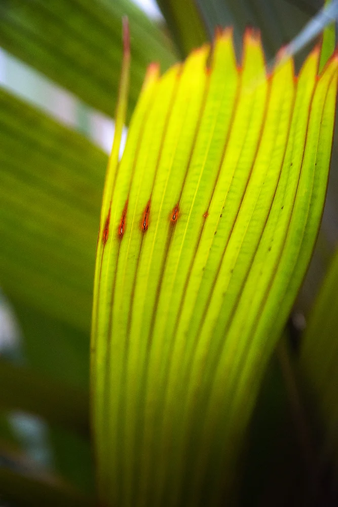 Abstract in Nature #4