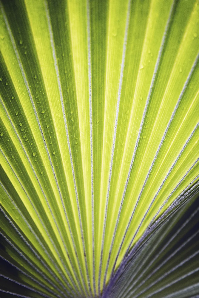 Abstract in Nature #7