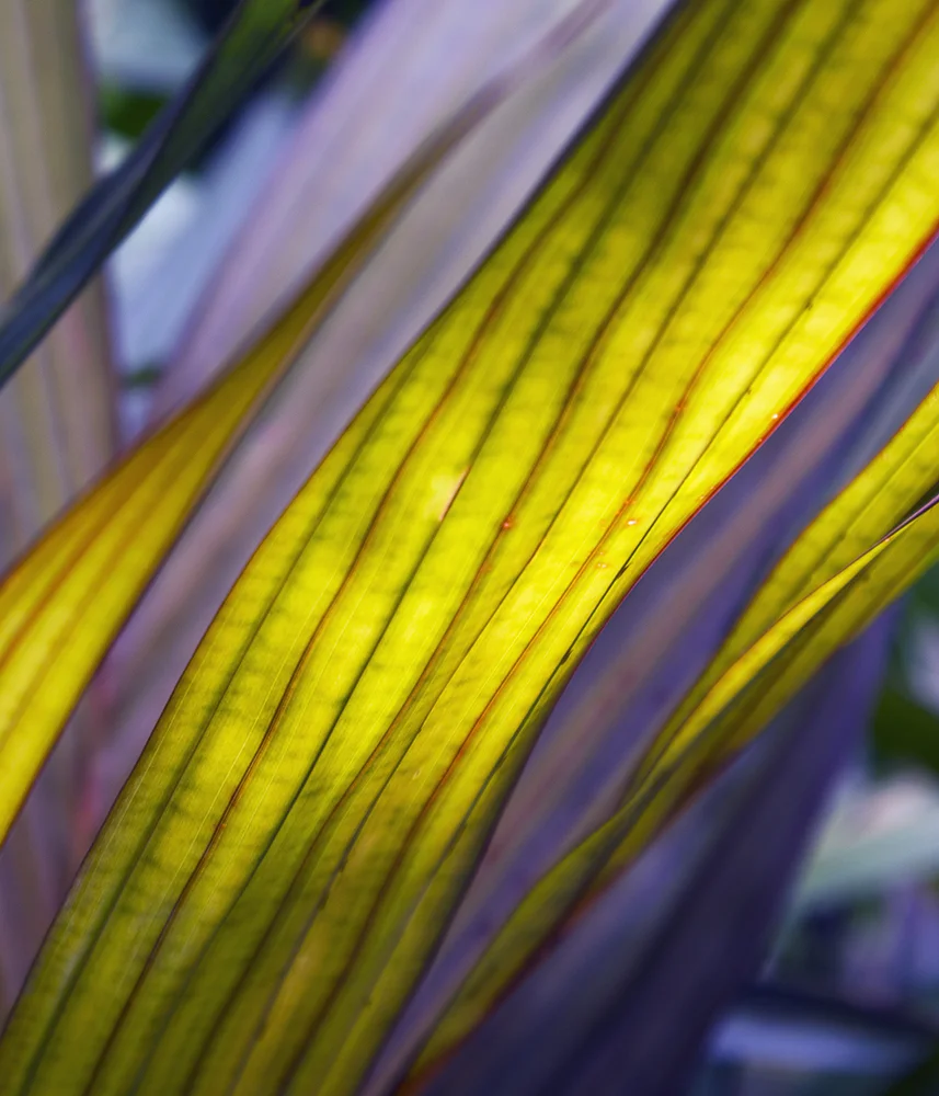 Abstract in Nature #8