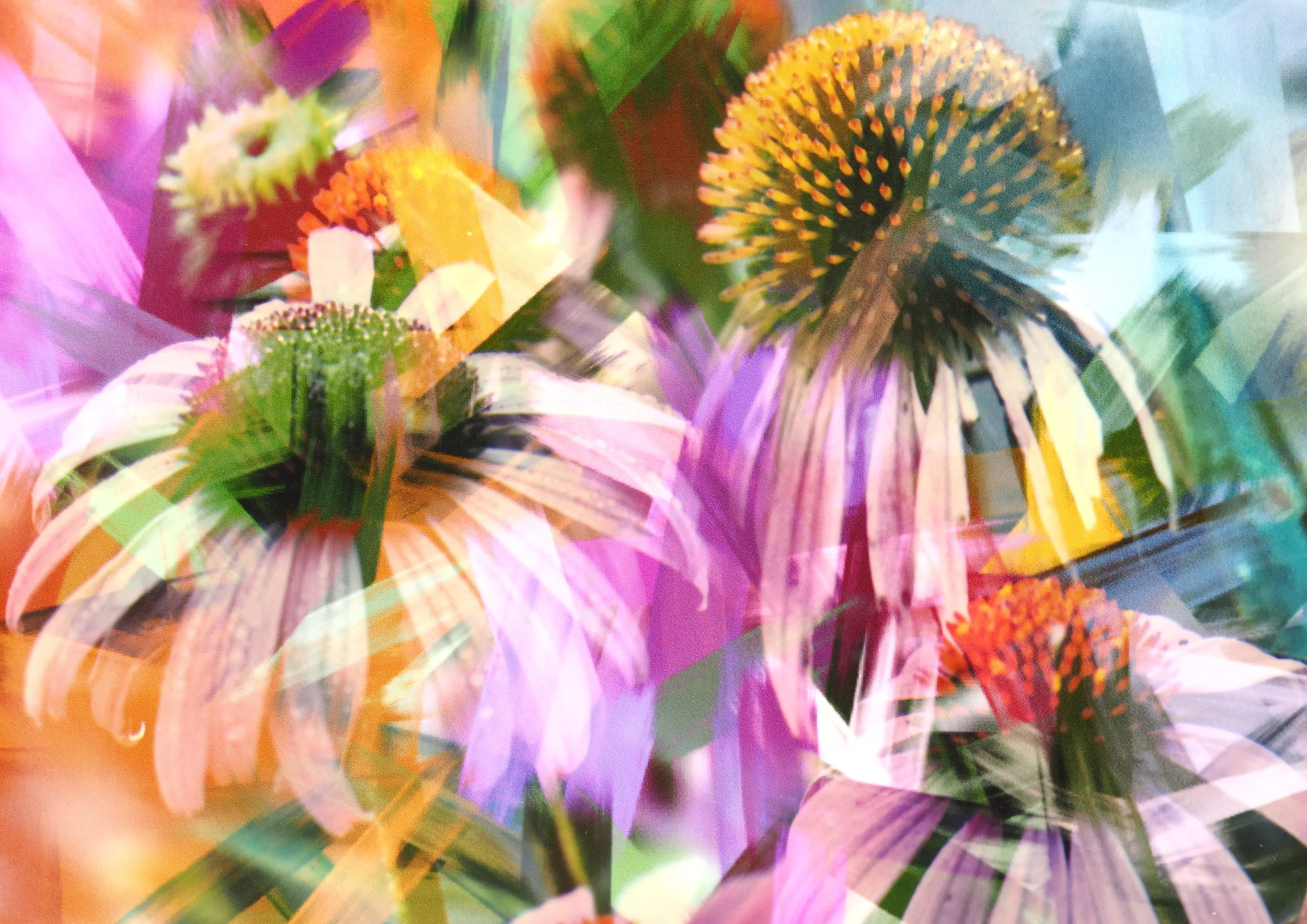 Flower Abstract 2