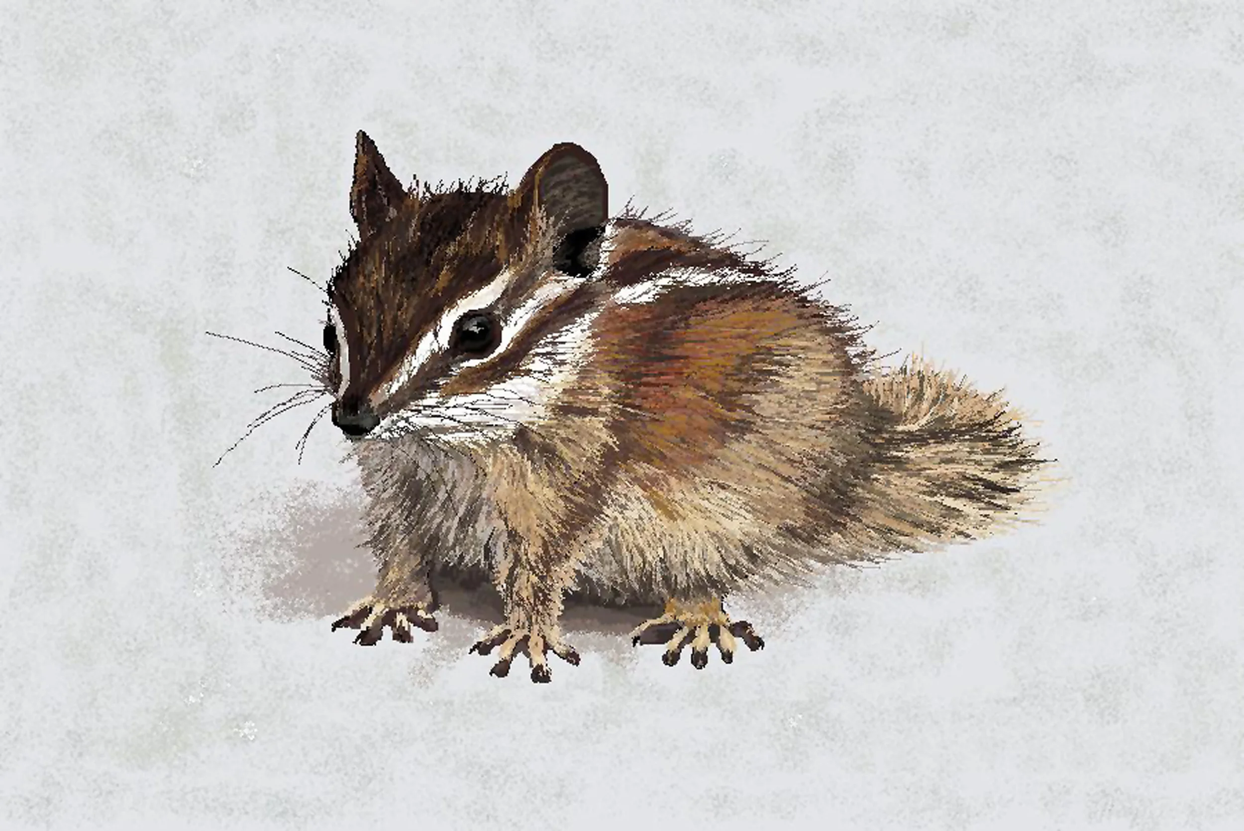 Charlie Chipmunk