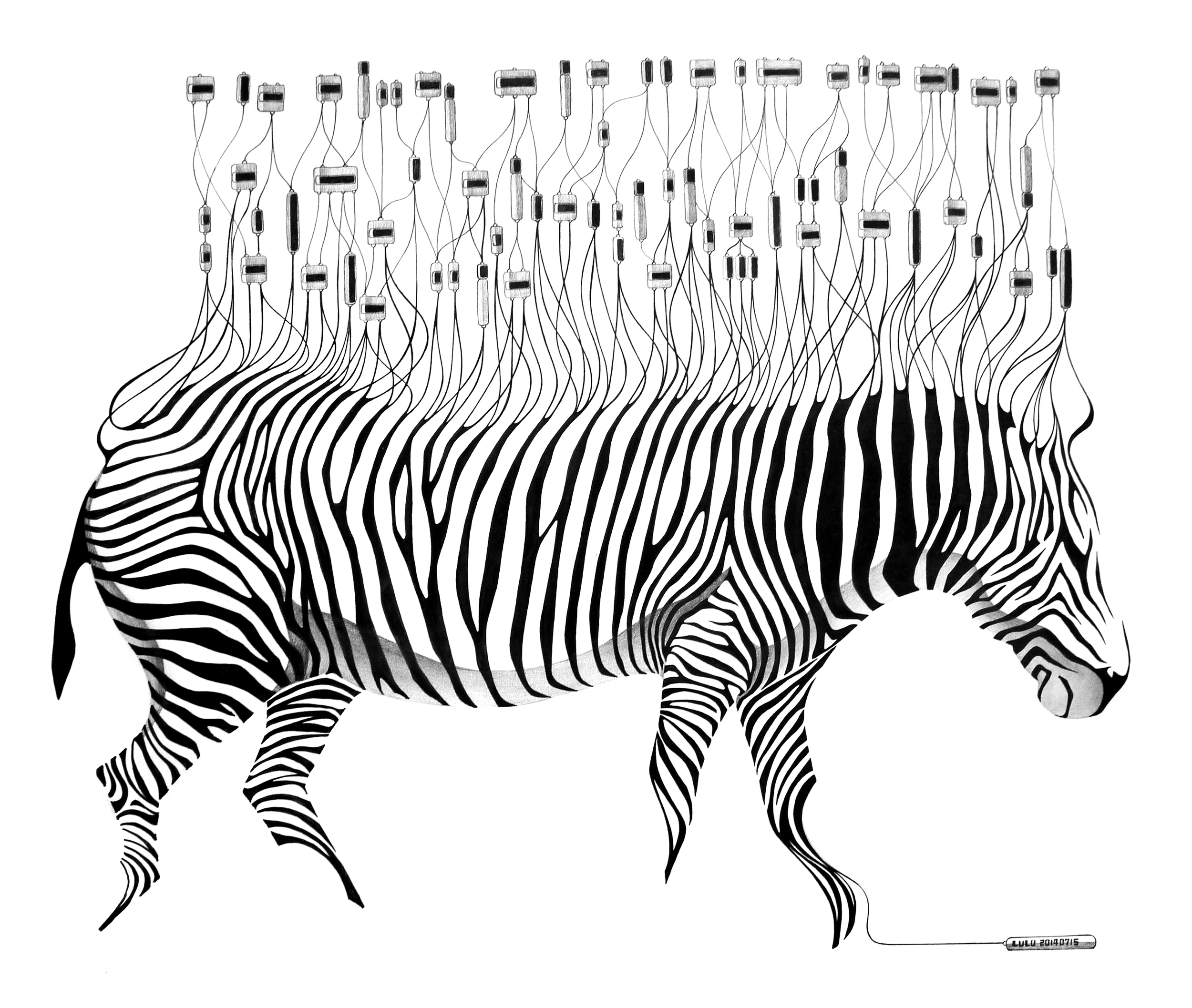 Scripting Zebra