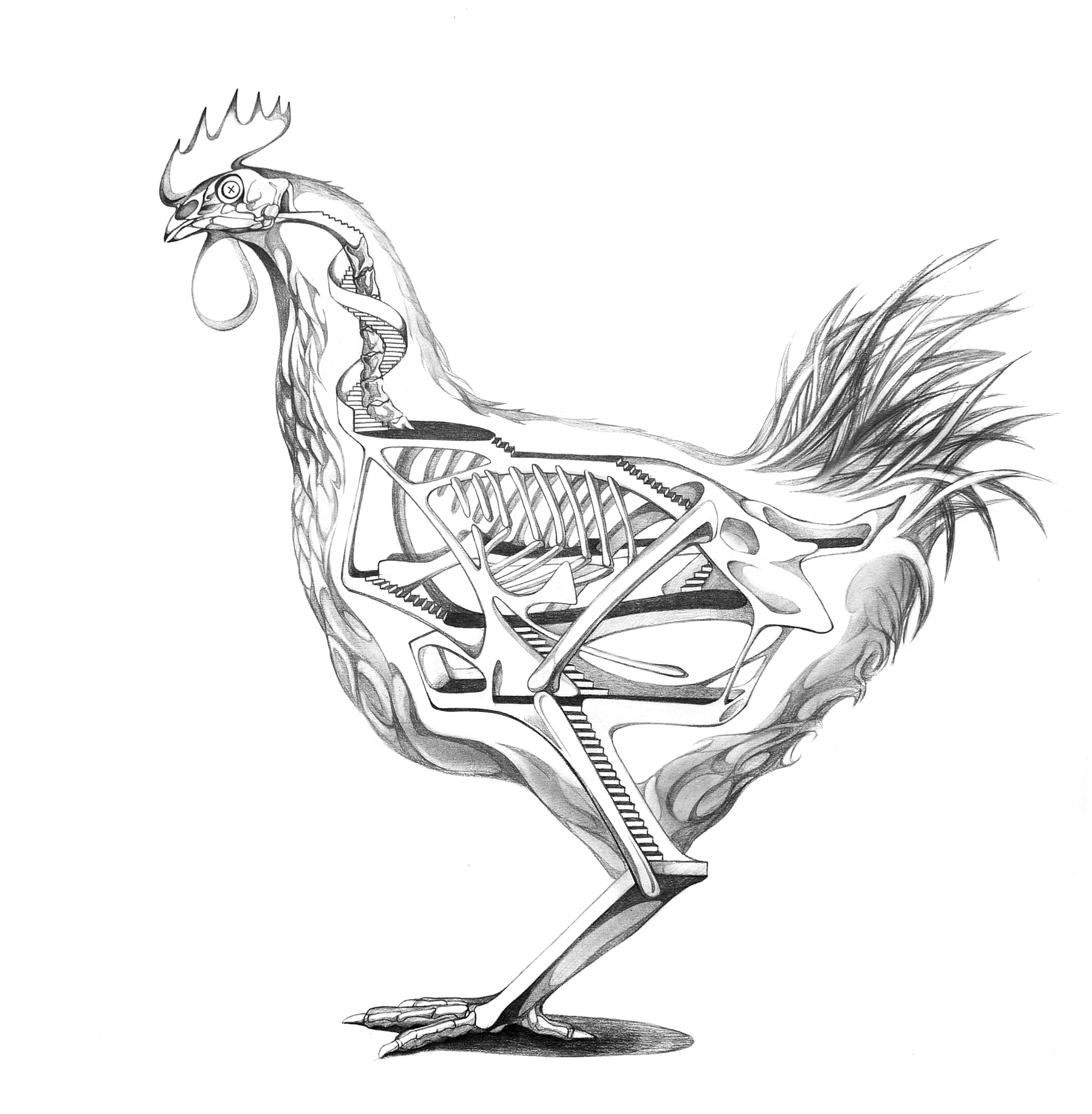 Zodiac Rooster