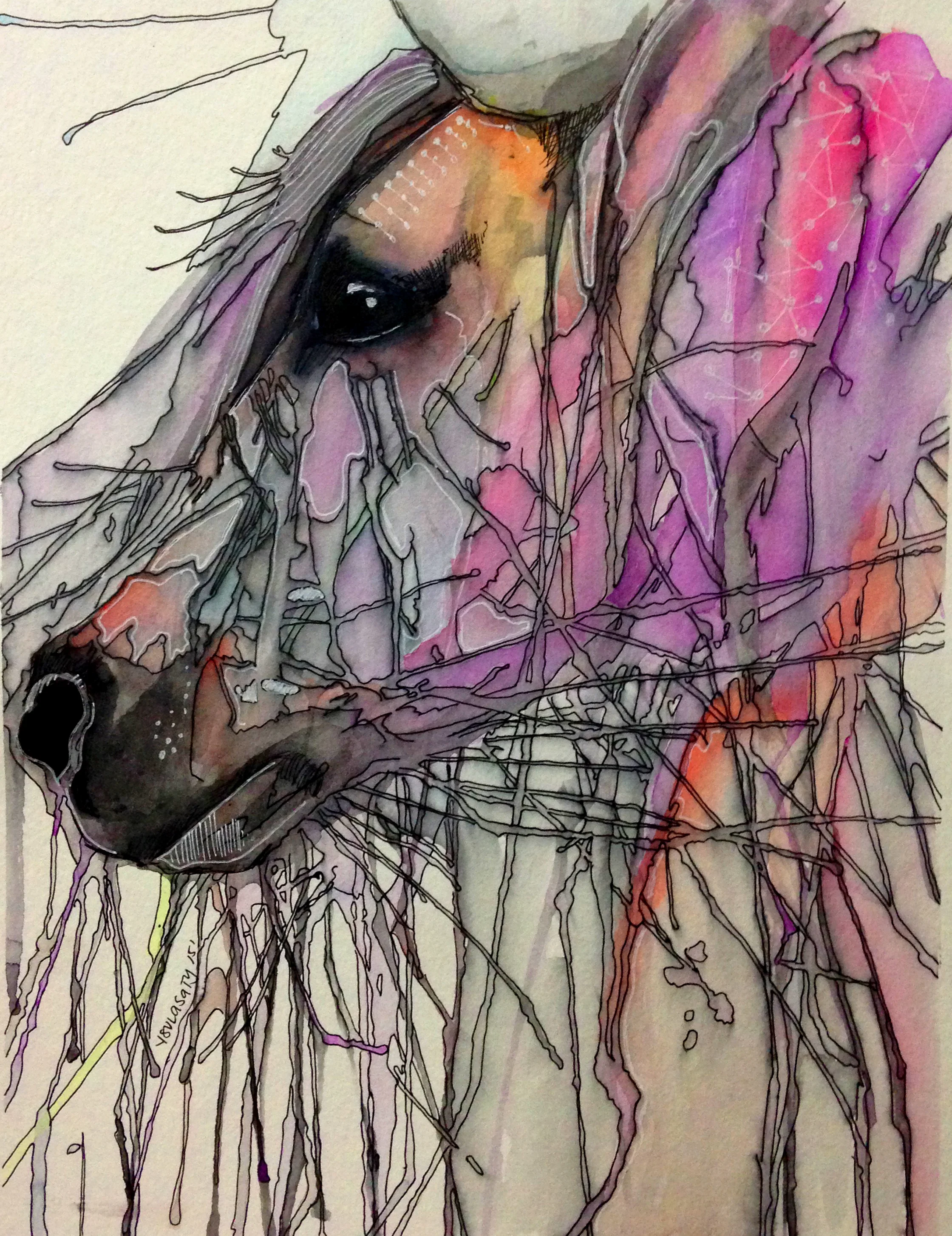 Friesian