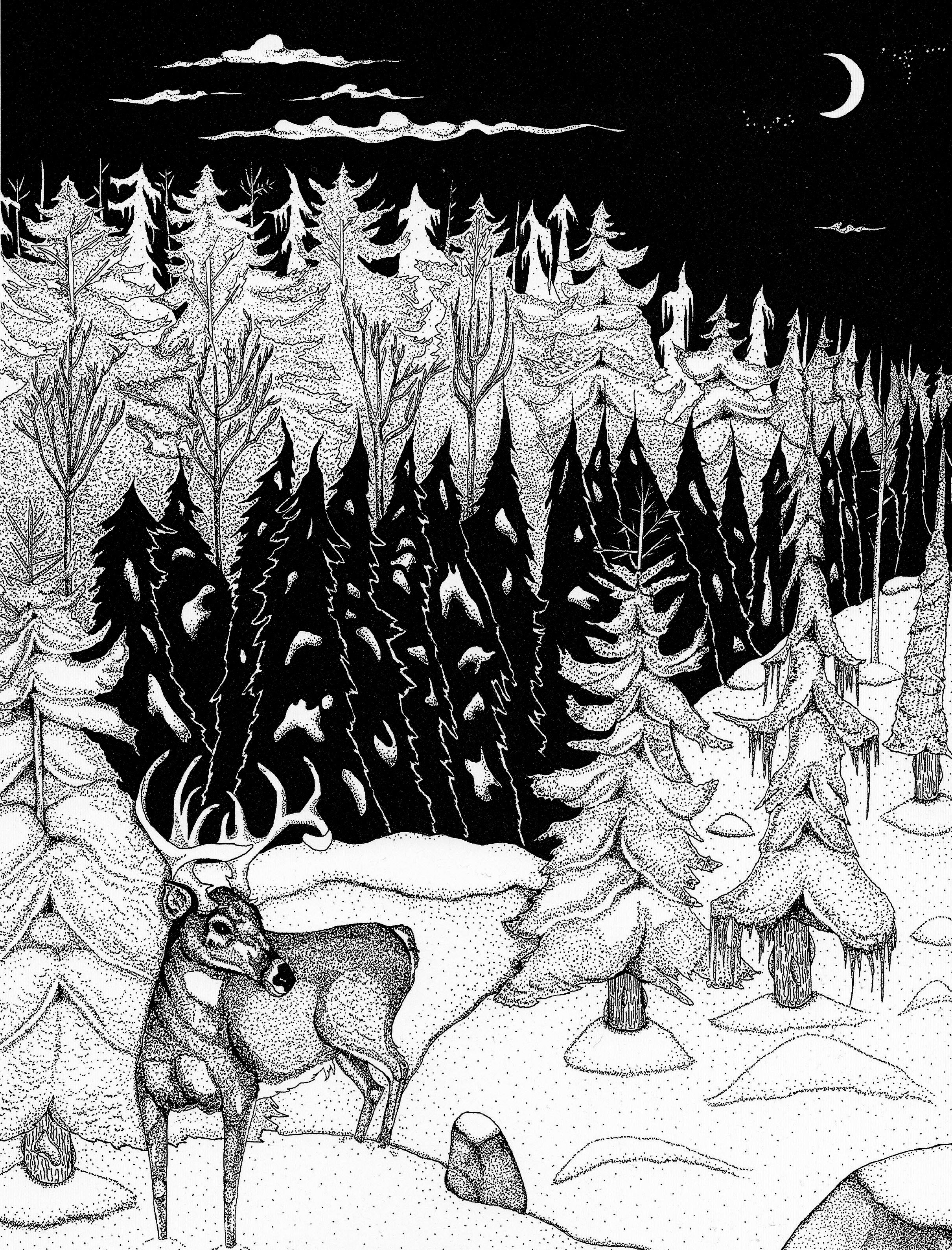 Pemigewasset Wilderness Trek
