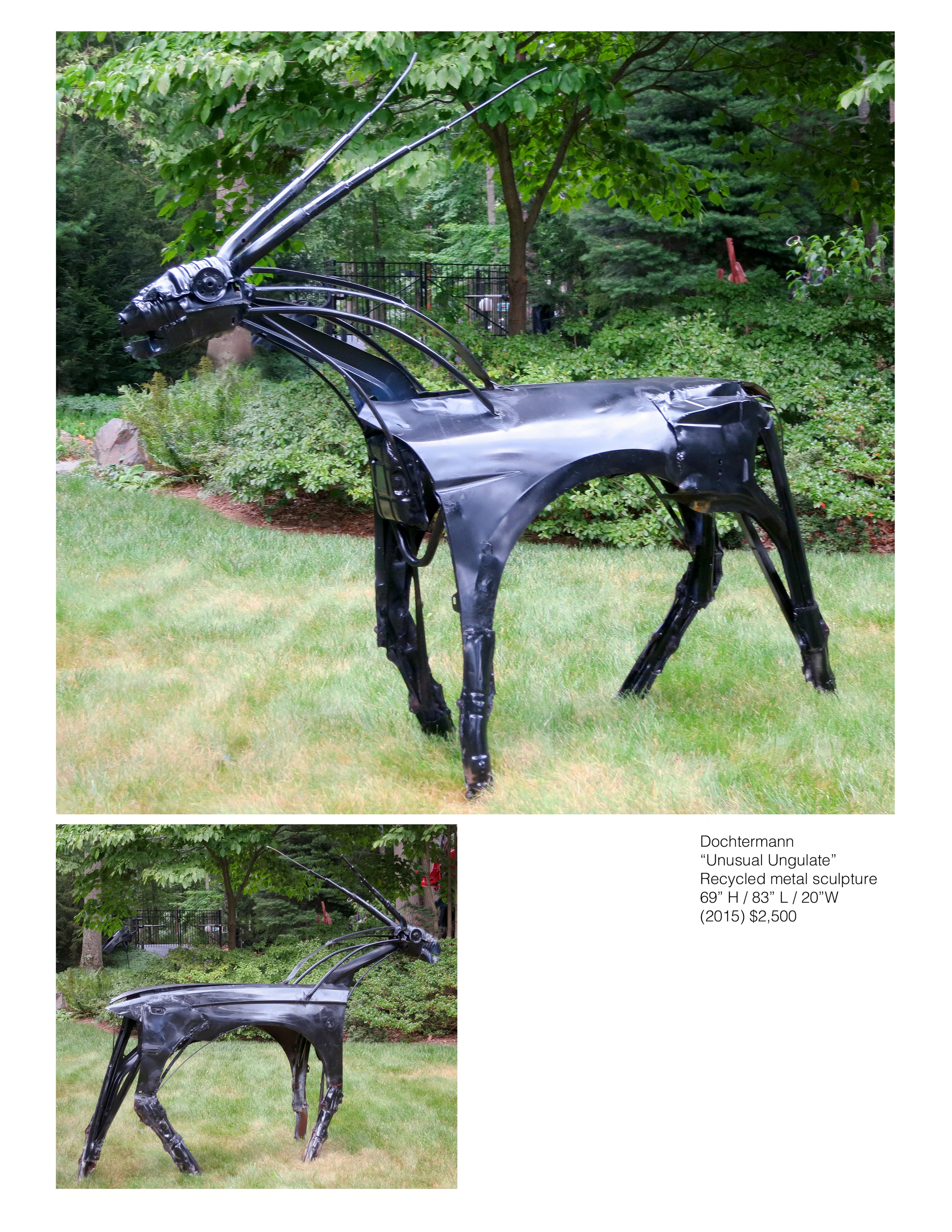 Unusual Ungulate