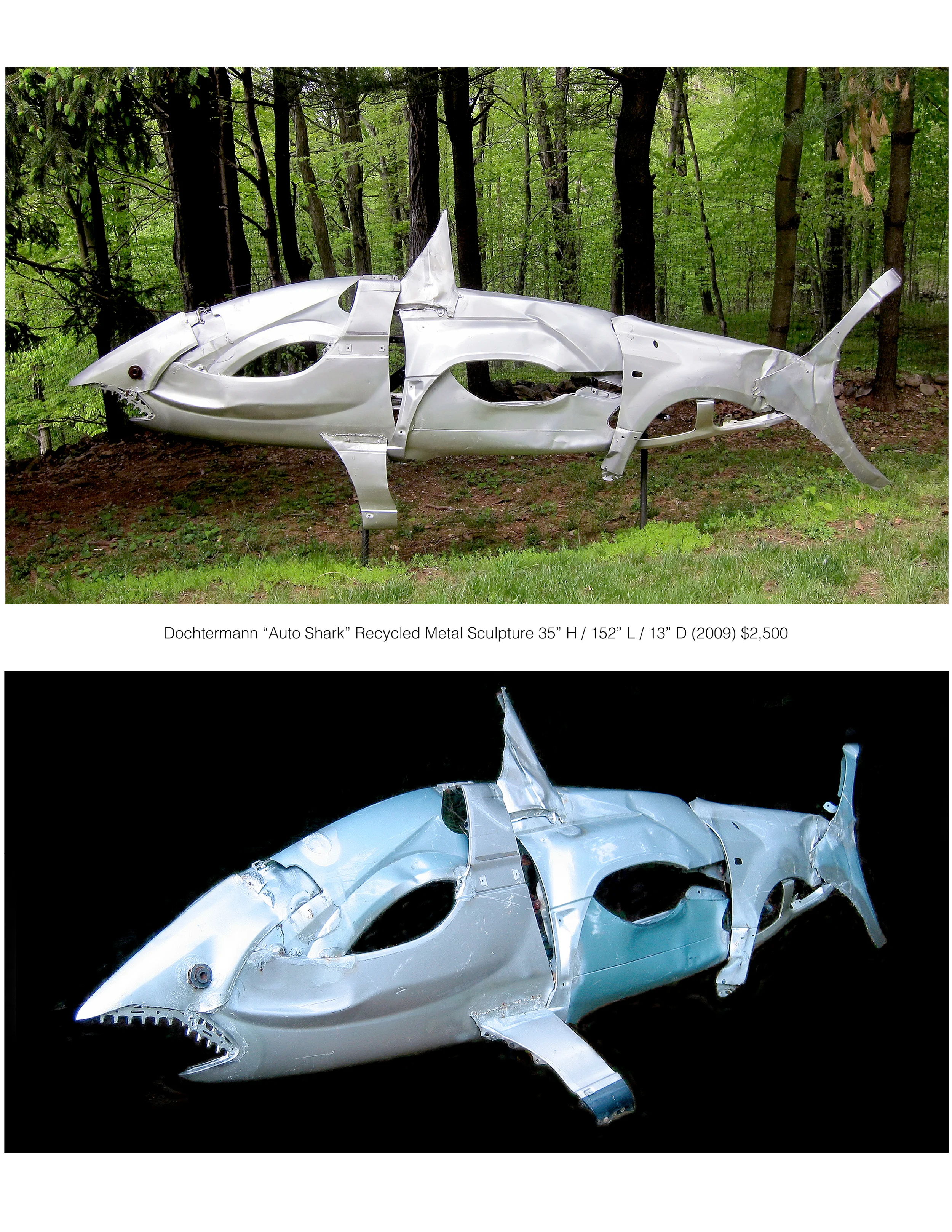 Auto Shark
